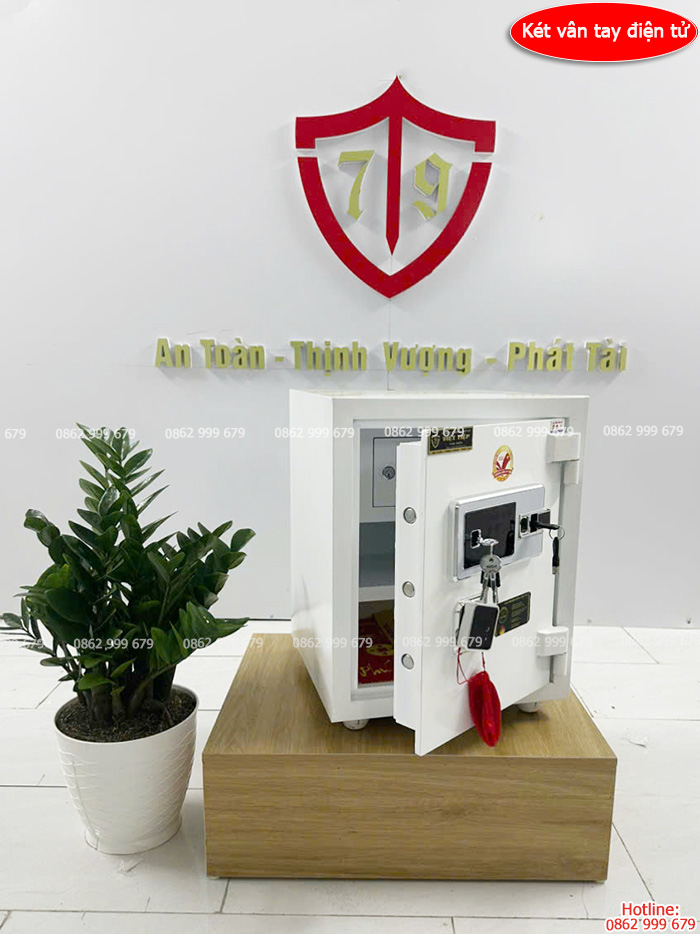 Két sắt Việt Tiệp vân tay điện tử cao cấp VTĐT-VSC48A-N